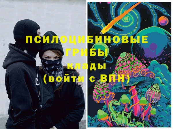 ПСИЛОЦИБИНОВЫЕ ГРИБЫ Вуктыл