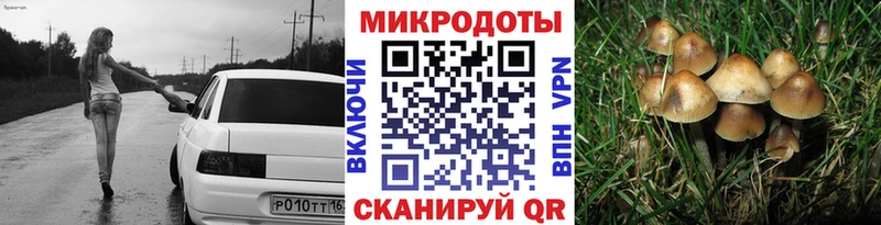 Псилоцибиновые грибы Cubensis Кораблино